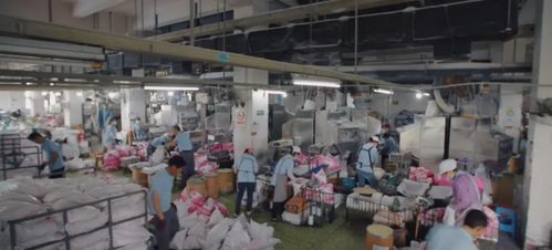 從破產清算轉破產重組,抖音電商 遇見好國貨 助瀕死老品牌獲新生