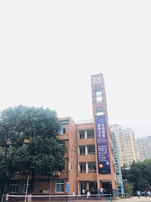 科技群星，璀璨太空——第34屆成都市青少年科技創新大賽盛況紀實